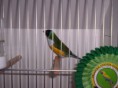 /album/fotogaleria/februar-2013-127-jpg/